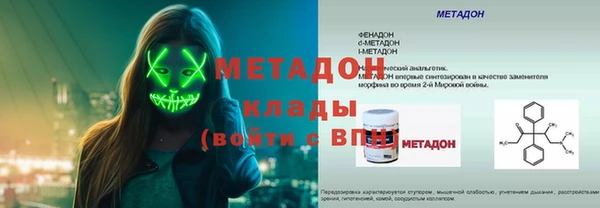сатива Белокуриха