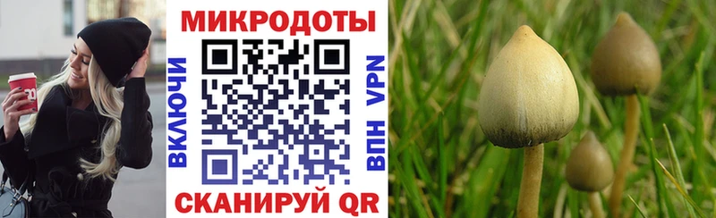 Галлюциногенные грибы GOLDEN TEACHER  купить наркотик  Высоковск 